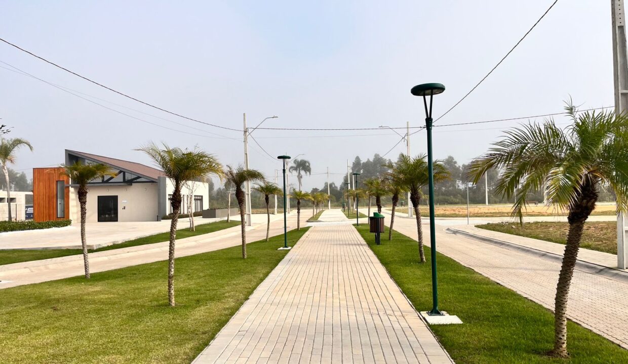 WhatsApp Image 2025-07-04 at 10.45.46