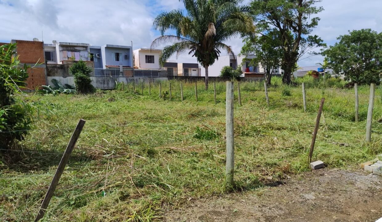 WhatsApp Image 2025-07-04 at 10.47.30