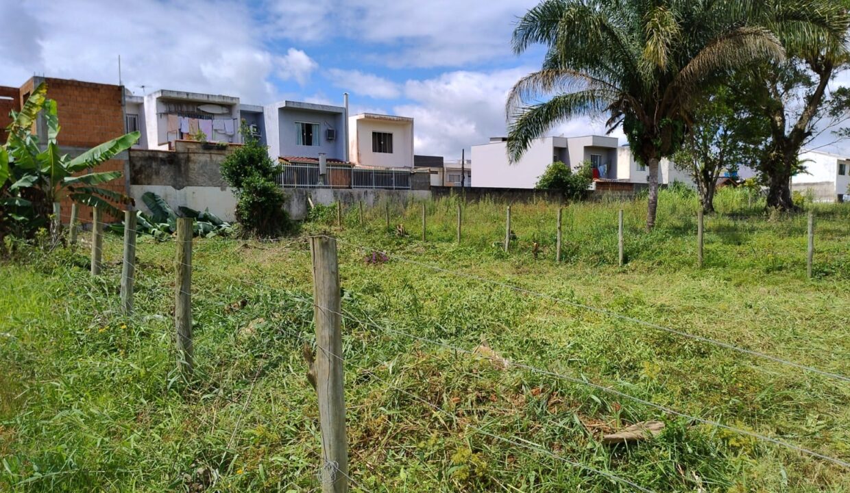 WhatsApp Image 2025-07-04 at 10.47.31