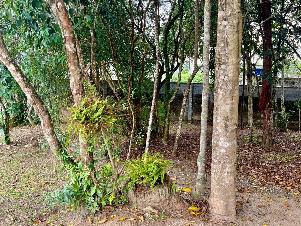 WhatsApp Image 2025-09-12 at 13.43.01 (1)