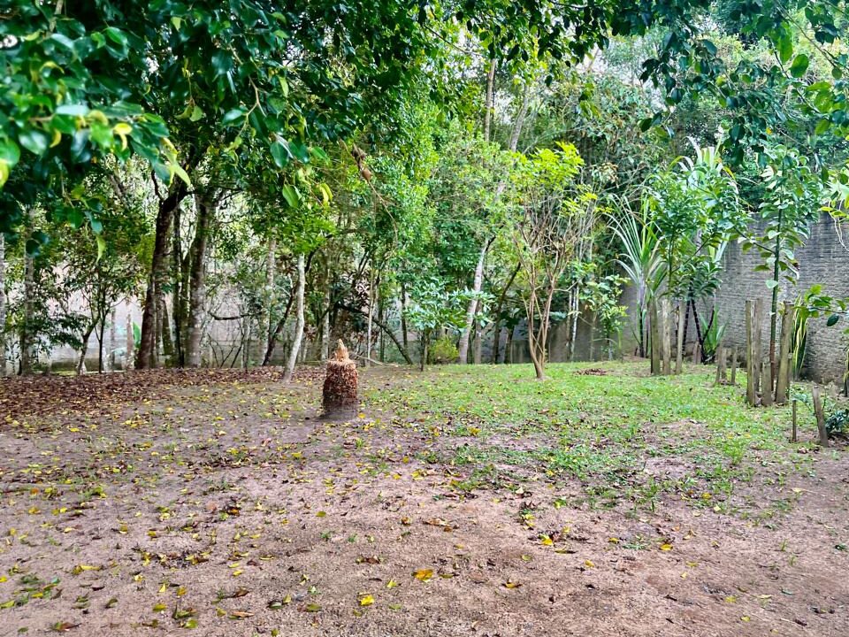 WhatsApp Image 2025-09-12 at 13.43.01