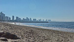 Balneário Piçarras supera Itapema e Balneário Camboriú em demanda por imóveis de alto padrão blog tr4 imagem (35)