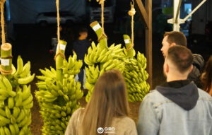 Bananicultores 3 (2)