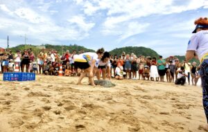 Tartaruga-verde resgatada em Balneário Piçarras retorna ao mar após seis meses de reabilitação IMG_1082