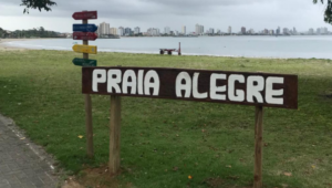 blog tr4 imagem (81)